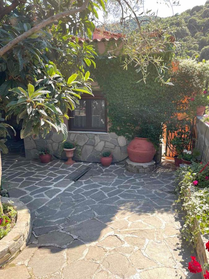 Nea Iraklitsa Theodoras House旅馆 外观 照片