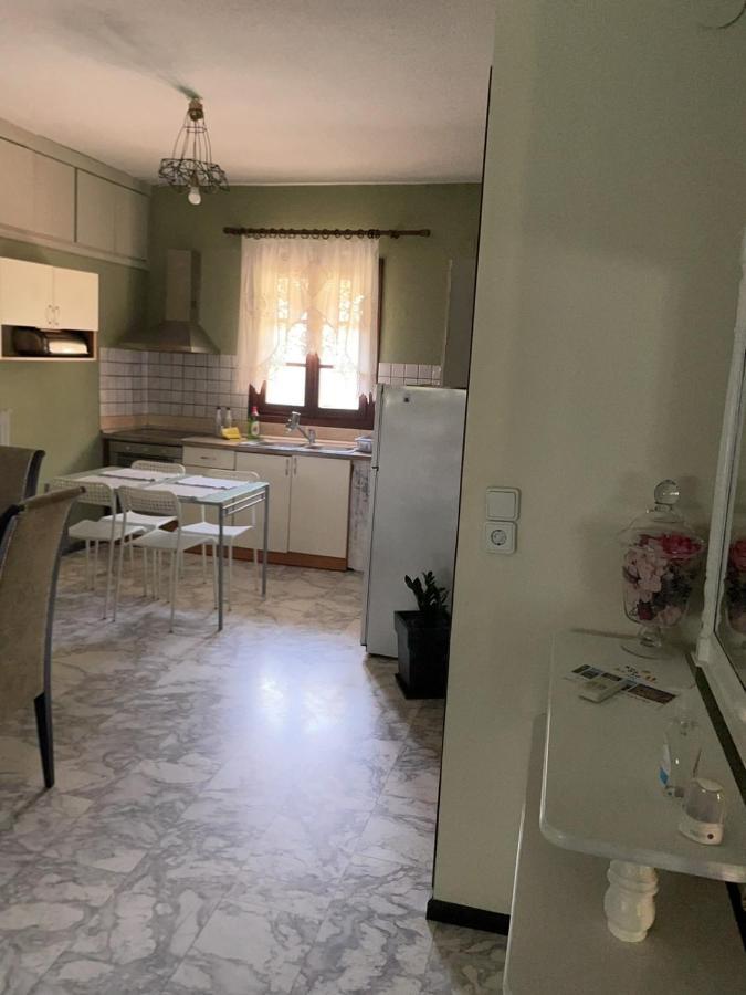 Nea Iraklitsa Theodoras House旅馆 外观 照片